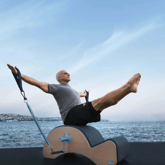 Anthacite Grey BASI Systems Pilates Spine Corrector F2 System by BASI Systems sold by Pilates Matters® by BSP LLC